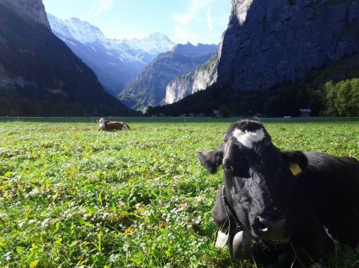 mountain life